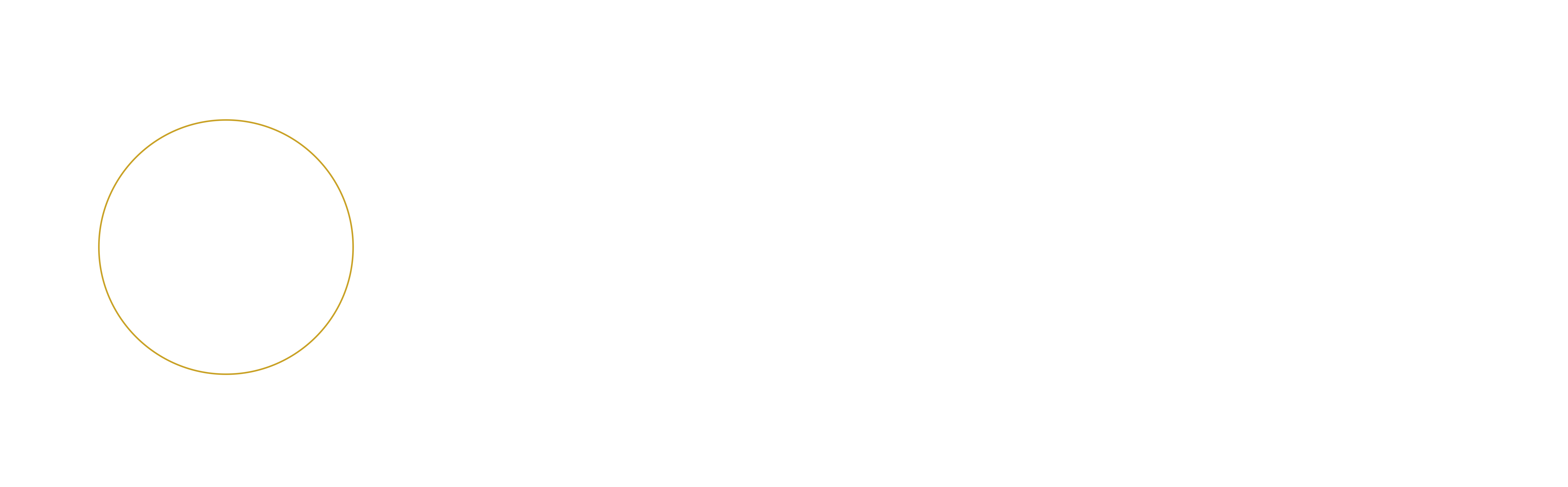 PaceMakers Business Consultants