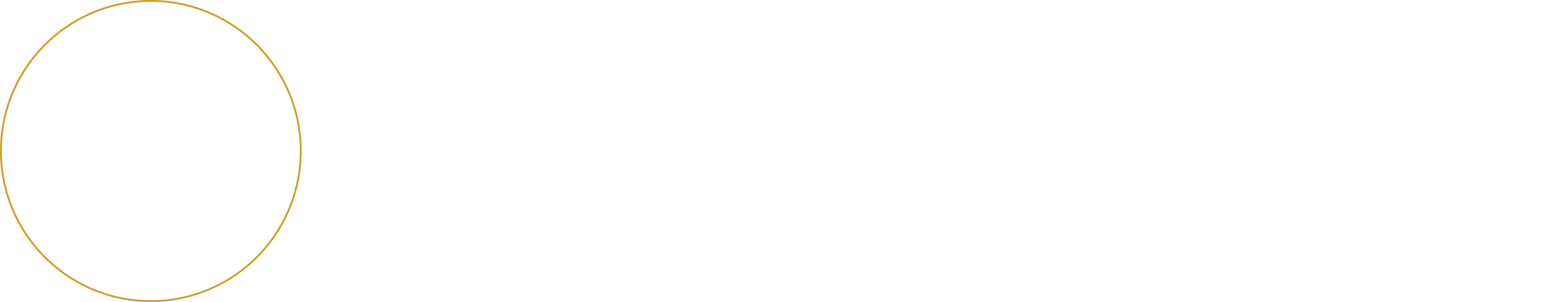 PaceMakers Business Consultants